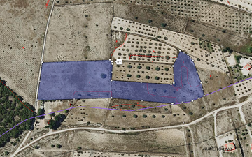 Property slide 6