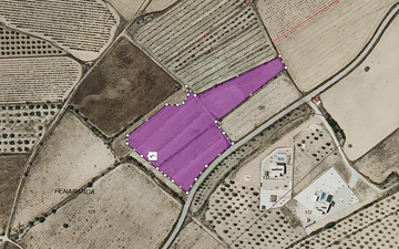Property slide 8