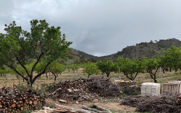 Property slide 32