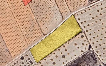 Property slide 4