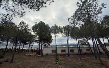 Property slide 27