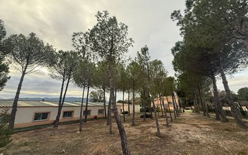 Property slide 34