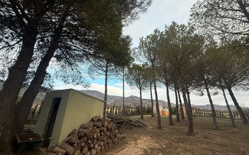 Property slide 29