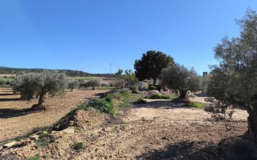 Property slide 15