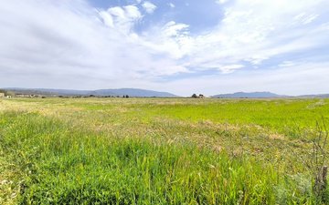 Property slide 33