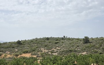 Property slide 38