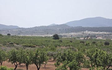 Property slide 35