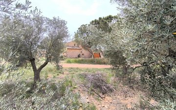 Property slide 35