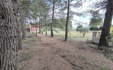 Property slide 17