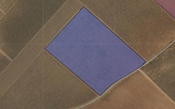Property slide 4
