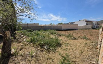 Property slide 32