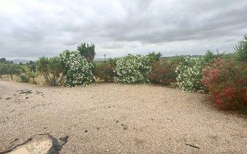 Property slide 24