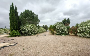 Property slide 26
