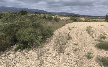 Property slide 11