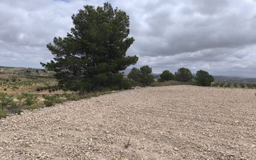 Property slide 9