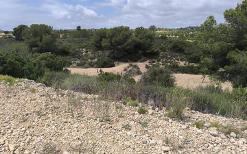 Property slide 12
