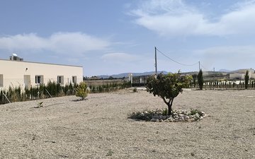 Property slide 44
