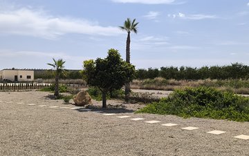 Property slide 42