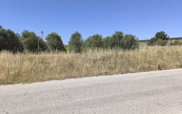 Property slide 4