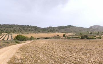 Property slide 2