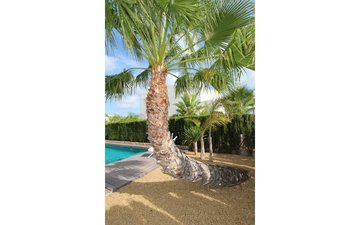 Property slide 8