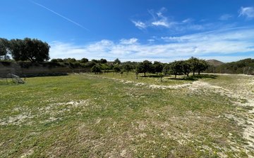 Property slide 29