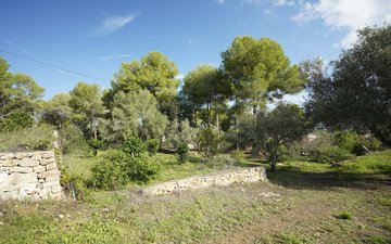 Property slide 35