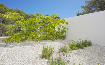 Property slide 44