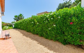Property slide 36