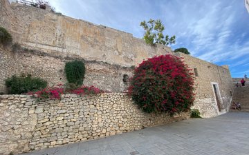 Property slide 36