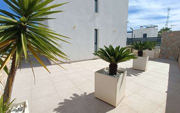 Property slide 42