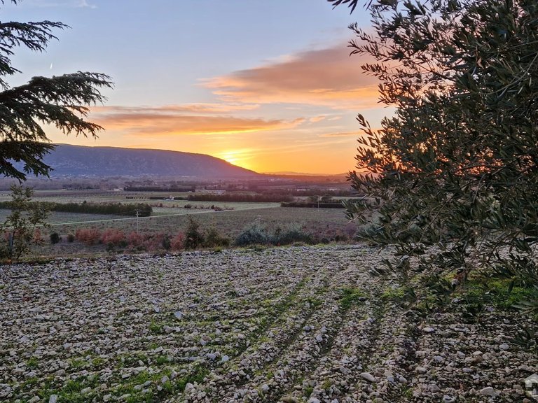 Villa for Sale in Gordes, The Luberon / Vaucluse 3