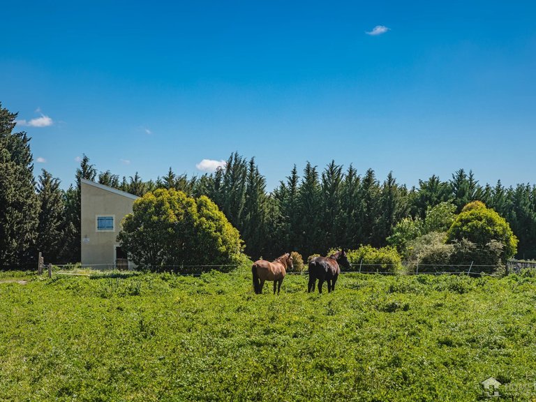 Villa for Sale in , Avignon And North Provence 10