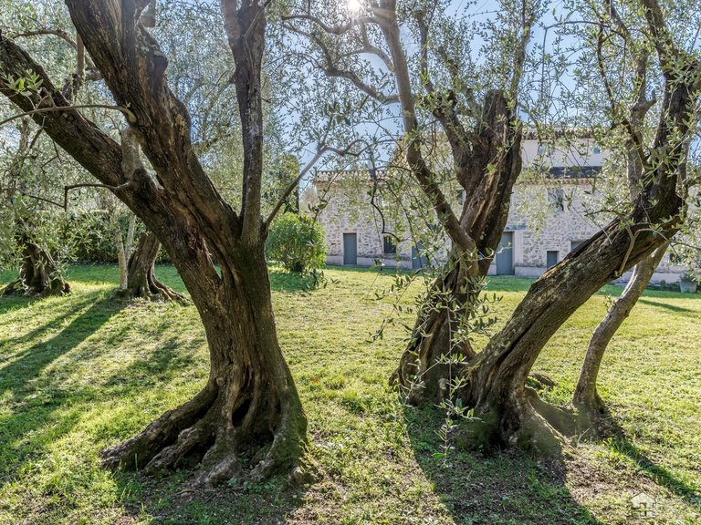 Villa for Sale in Grasse, Mougins, Valbonne, Grasse Area 8