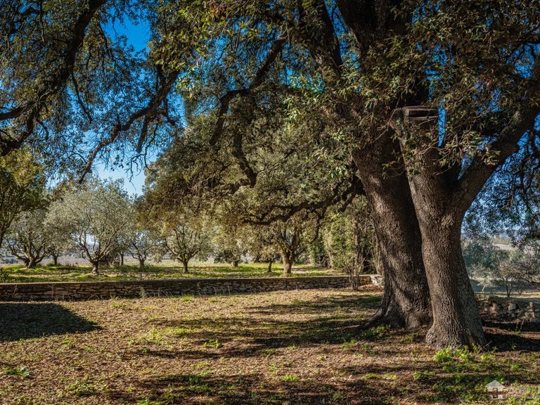 Villa for Sale in Gordes, The Luberon / Vaucluse 10