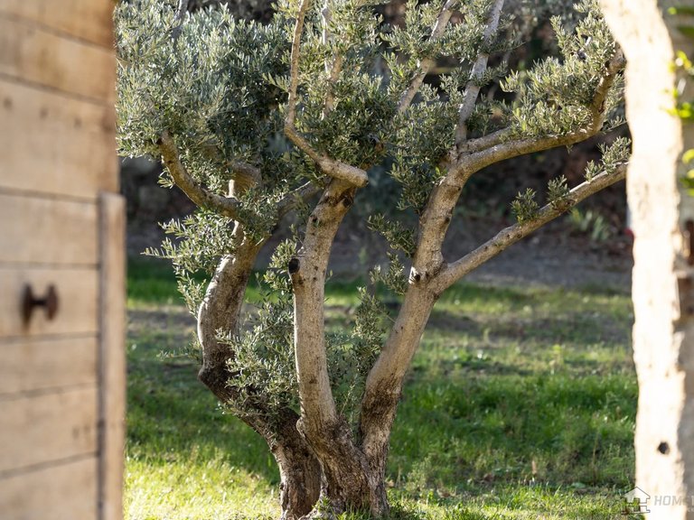 Villa for Sale in Oppede, The Luberon / Vaucluse 8