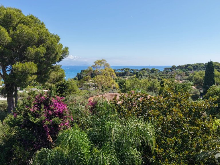 Villa for Sale in Cap D Antibes, Antibes Area 3
