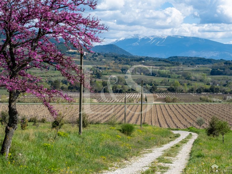 Villa for Sale in Nyons, Avignon And North Provence 2