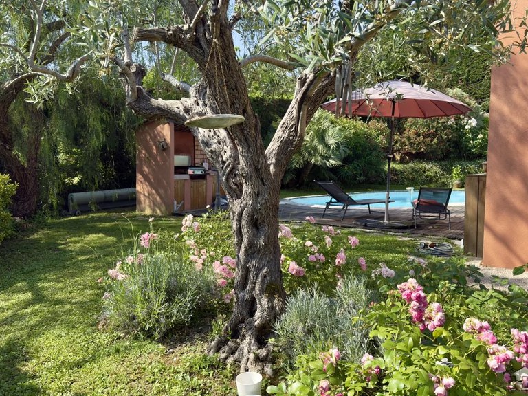 Villa for Sale in La Colle Sur Loup, Vence, St. Paul Area 11