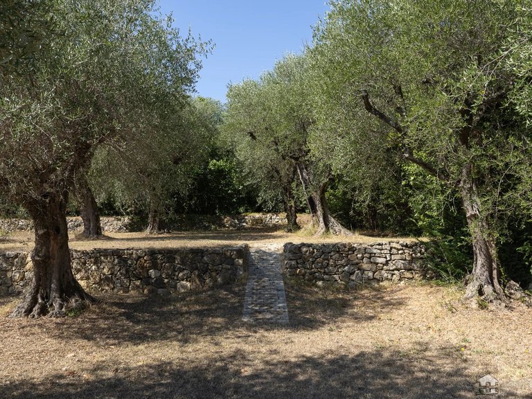 Villa for Sale in Grasse, Mougins, Valbonne, Grasse Area 13