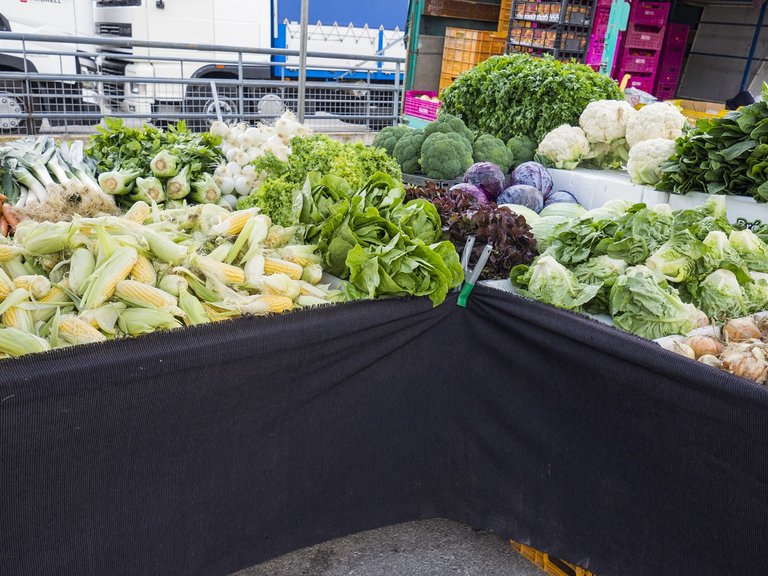 Villa for Sale in Inland Pedreguer, Alicante 15