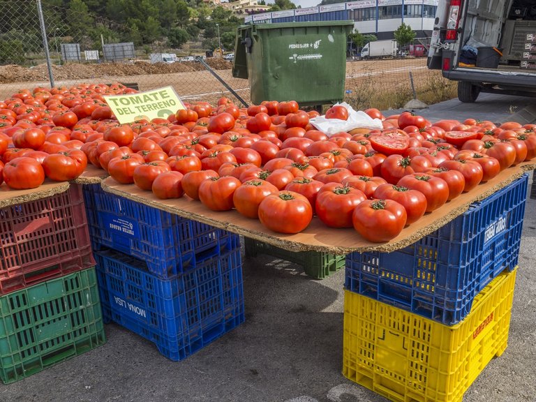 Villa for Sale in Inland Pedreguer, Alicante 14