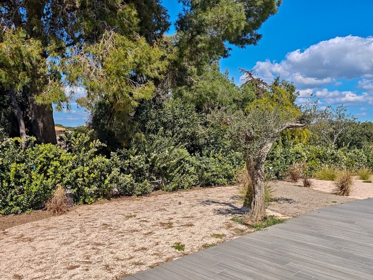 Apartamento T1 Venda em Albufeira e Olhos de Água,Albufeira 41