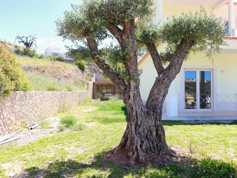 Moradia T3+1 Venda em Albufeira e Olhos de Água,Albufeira 64