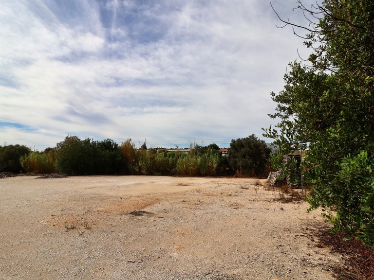 Terreno Rústico  Arrendamento em Guia,Albufeira 7