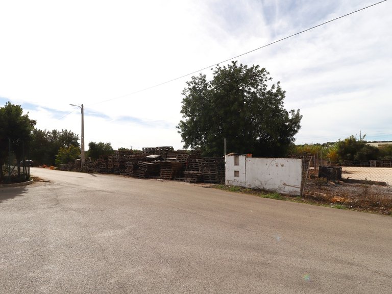 Terreno Rústico  Arrendamento em Guia,Albufeira 12