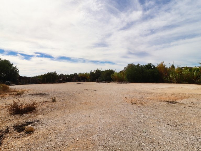 Terreno Rústico  Arrendamento em Guia,Albufeira 5