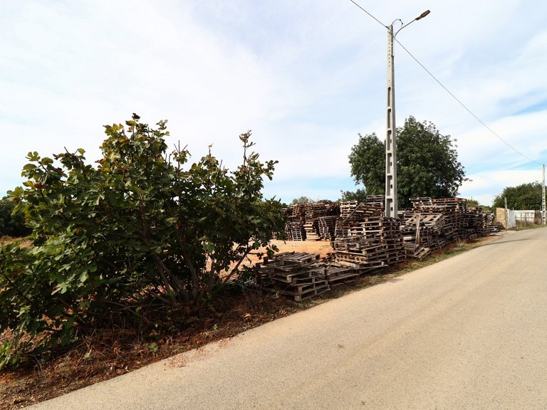 Terreno Rústico  Arrendamento em Guia,Albufeira 16