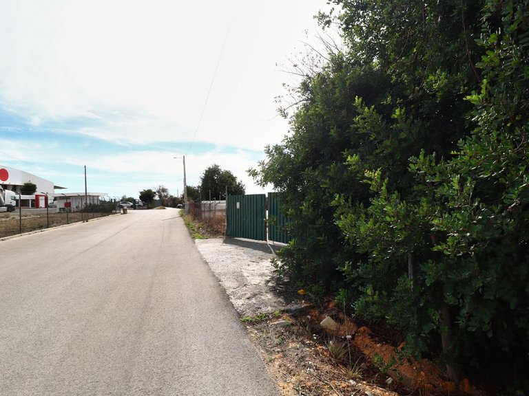 Terreno Rústico  Arrendamento em Guia,Albufeira 4