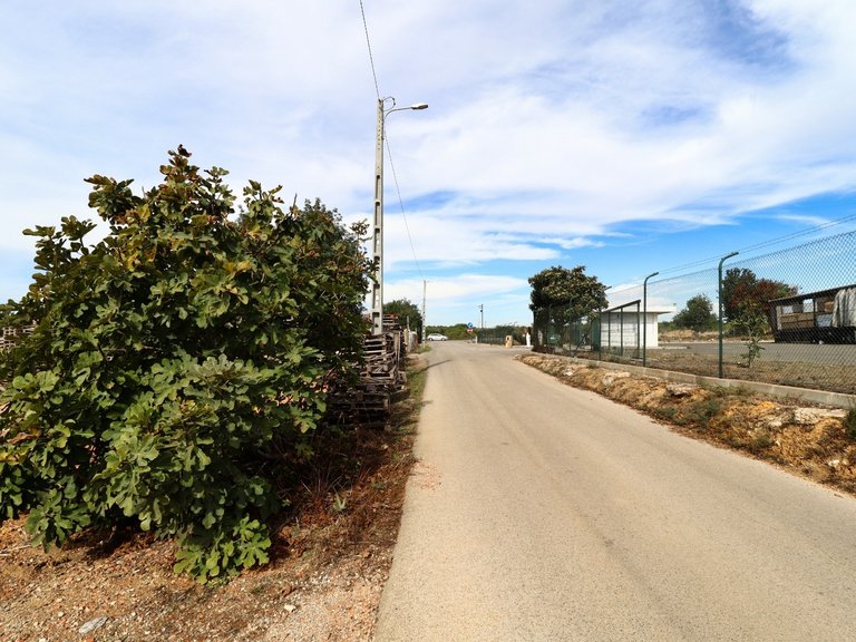 Terreno Rústico  Arrendamento em Guia,Albufeira 15